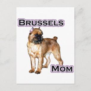 Bryssel Griffon Mamma, Mamma i Bryssel Griffon Vykort