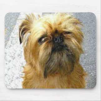 Bryssel Griffon Mousepad Musmatta