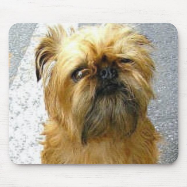 Bryssel Griffon Mousepad Musmatta (Framsidan)