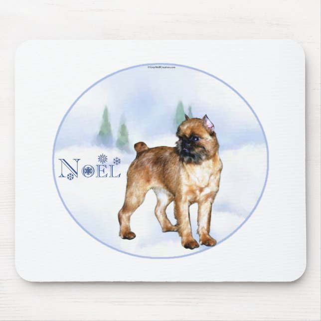 Bryssel Griffon Noel Musmatta (Framsidan)