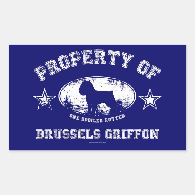 Bryssel Griffon Rektangulärt Klistermärke (Framsida)