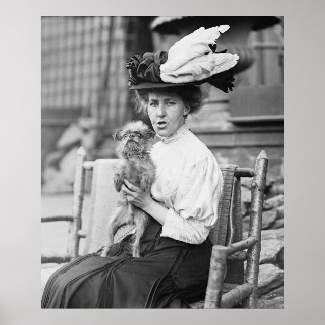 Bryssel Griffon, tidigt 1900-talet Poster (Framsidan)