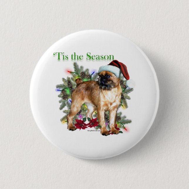 Bryssel Griffon "Tis Knapp (Framsida)