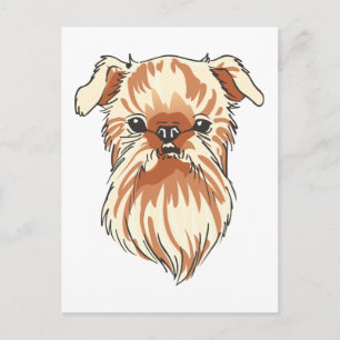 Bryssel Griffon Vykort