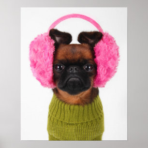 Bryssel Griffon with Rosa Earmuffs Poster