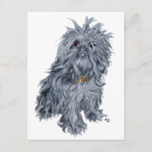 Brysselgriffon Vykort