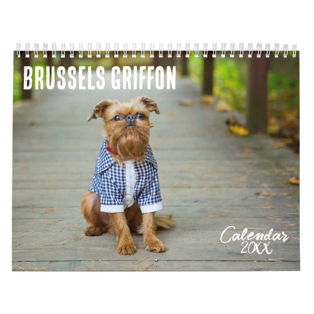 Bryssels Griffon-kalender 2026 Kalender (Omslag)