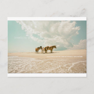 Bryt drömmar som Luft-vykort Vykort