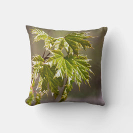 Bryt grönten byt gren med litet löv kudde