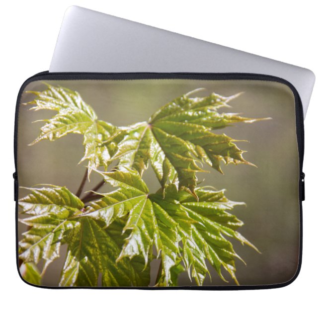 Bryt grönten byt gren med litet löv laptop fodral (Framsidan)
