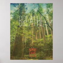 Bryt Kyotomatens Shrine Forest Träd Natature