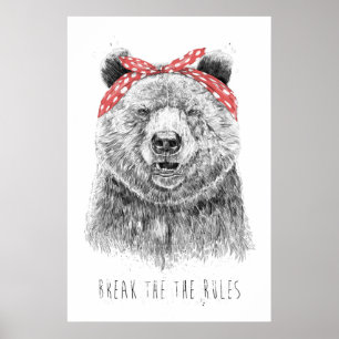 Bryt regler poster