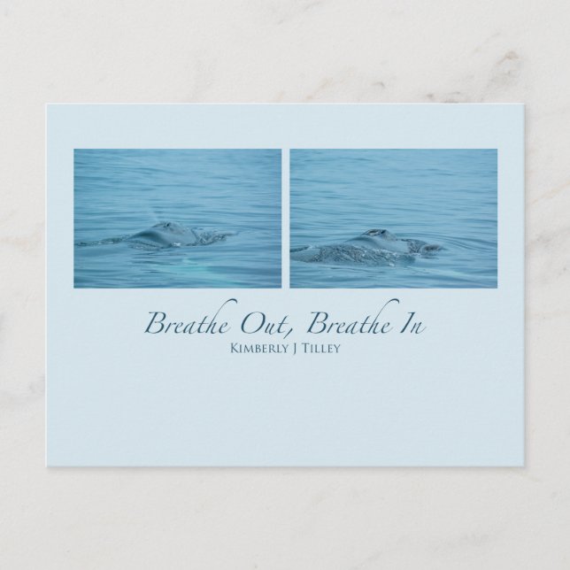 Bryt ut, andas in vykort (Framsida)