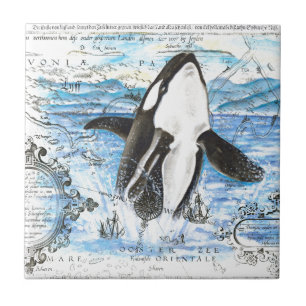 Brytning av Orca Ancient Karta Kakelplatta