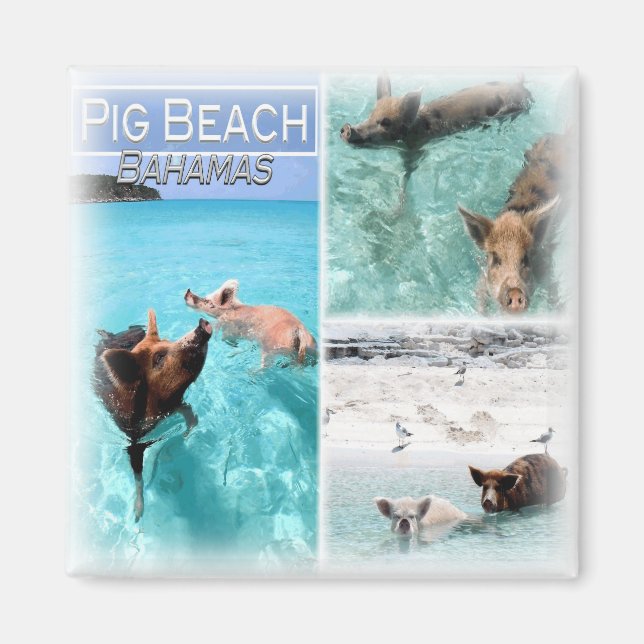 BS0018 Amerika, Bahamas, Fridge Magnet (Framsidan)