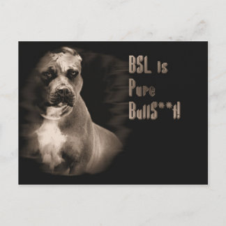 BSL är BS-postkort Vykort
