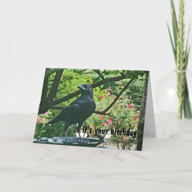 BT- Funy Kråka Birthday Card Kort (Framsida)
