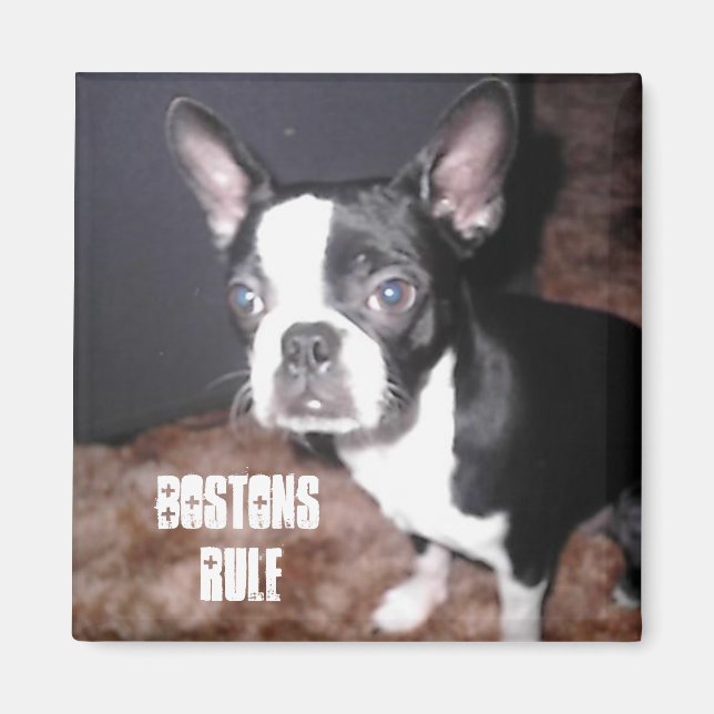 BT Magnet (Framsidan)