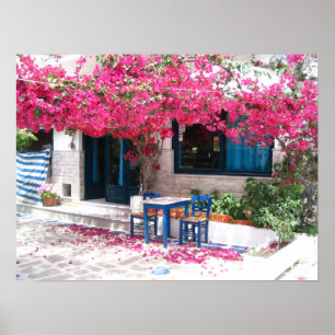 Buathos stad bougainvillea 1196 poster
