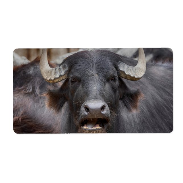 Bubalus bubalis fraktsedel (Framsidan)