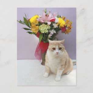 Bubba by Flowers Vykort