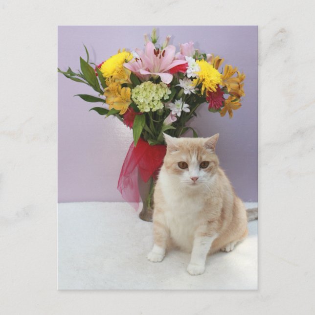 Bubba by Flowers Vykort (Framsida)