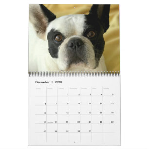 Bubba Louie 2020 Kalender