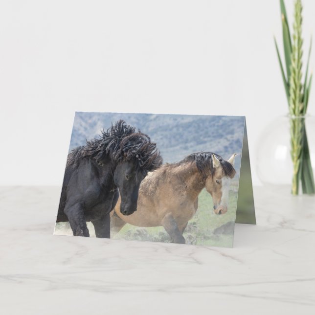 Bubba och Scarface Vild Horse Greeting Card Tack Kort (Framsida)