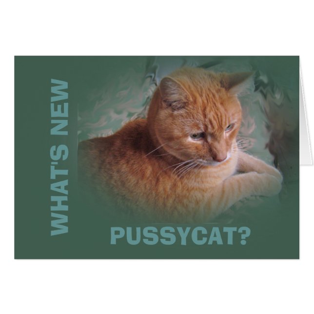 Bubba Orangen Tabby Tomcat Hälsningskort (Framsidan Horizontal)