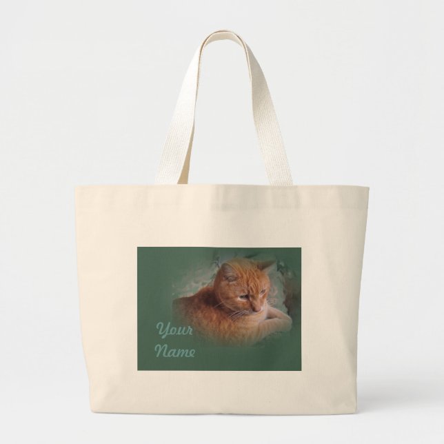 Bubba Orangen Tabby Tomcat Jumbo Tygkasse (Framsidan)