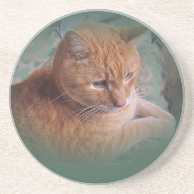 Bubba Orangen Tabby Tomcat Underlägg Sandsten (Framsidan)