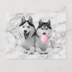 Bubbelgum för utblåsning av Lycklig Siberian husky Vykort