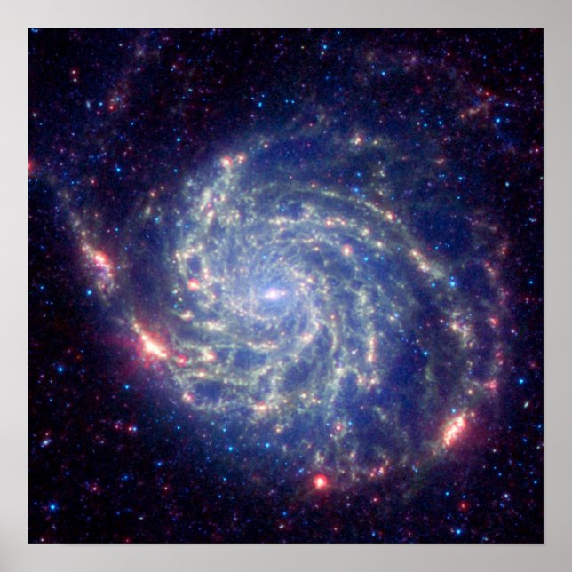 bubbla1 poster (Framsidan)