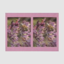 Bubbla bisilkespapperpapper