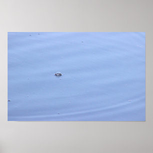 Bubble in Pond Poster