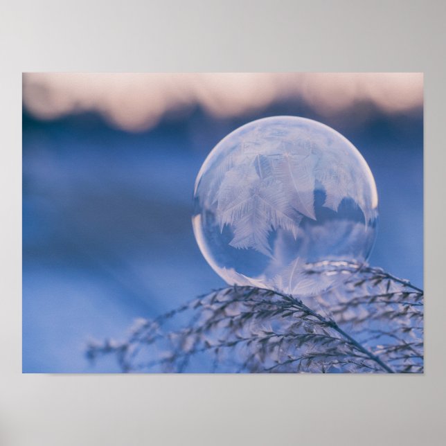 Bubble på Löv Poster (Framsidan)