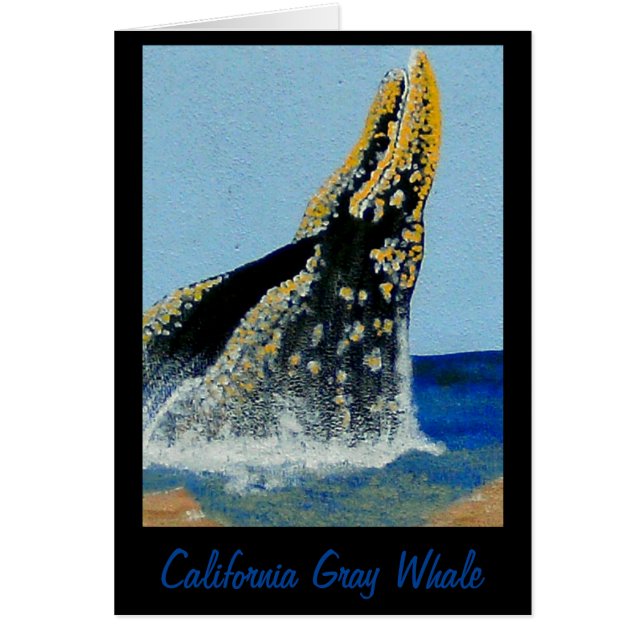 Bubblepacififiltar Hälsningskort (Framsidan)