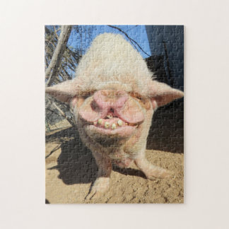 Bubbles Puzzle! Pussel