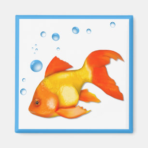 Bubbles the Goldfish Magnet