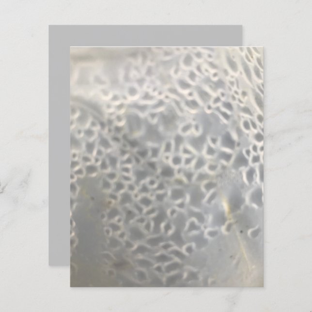 Bubbles Webben- för vit Grått-skräppost Papper (Fram/baksida)