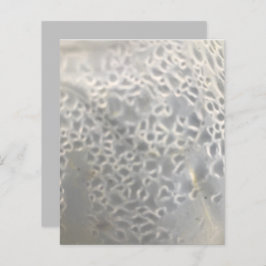 Bubbles Webben- för vit Grått-skräppost Papper