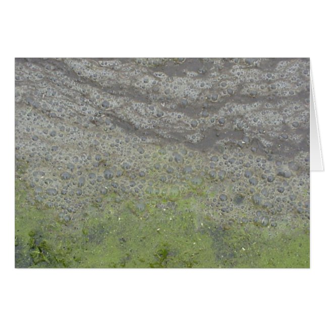 Bubblescum-kort Hälsningskort (Framsidan Horizontal)
