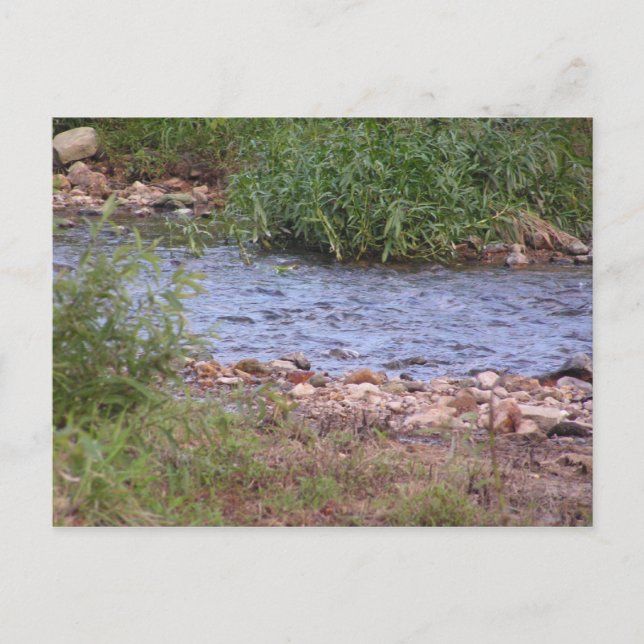 Bubbling Bäck vykort (Framsida)