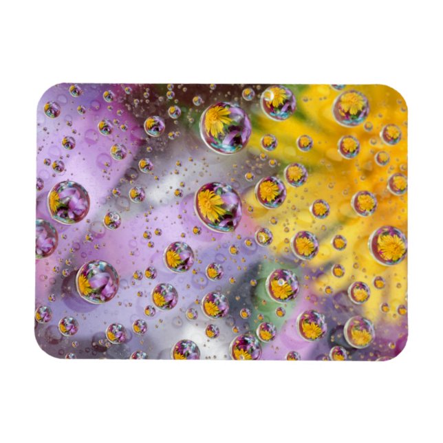 Bubblor abstrakt med blommor. Kredit: Nancy Magnet (Horisontell)