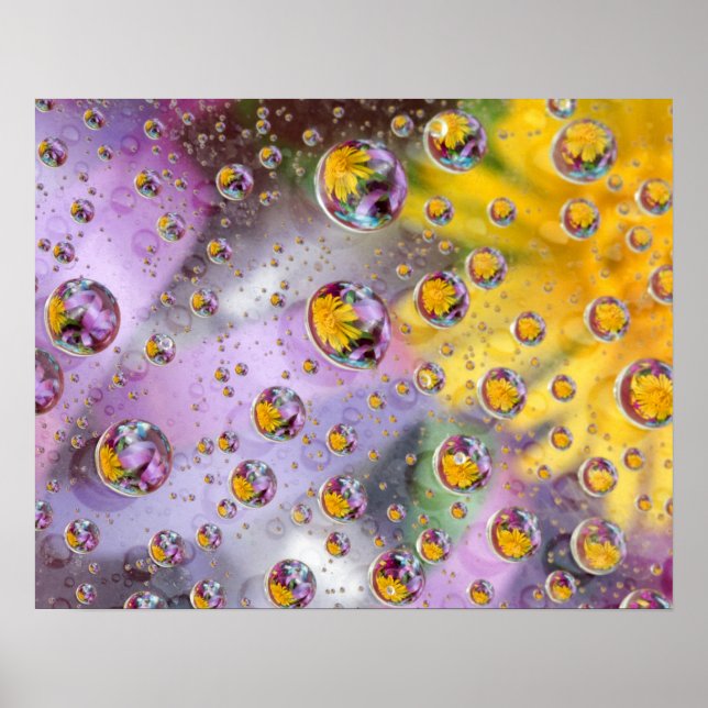 Bubblor abstrakt med blommor. Kredit: Nancy Poster (Framsidan)