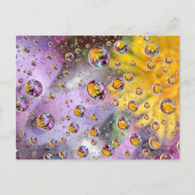 Bubblor abstrakt med blommor. Kredit: Nancy Vykort (Framsida)