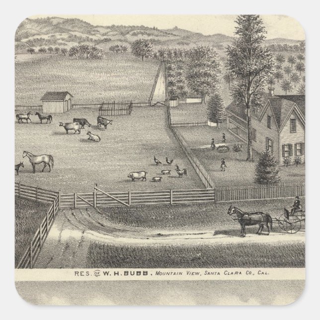 Bubbresidenser Fyrkantigt Klistermärke (Framsida)