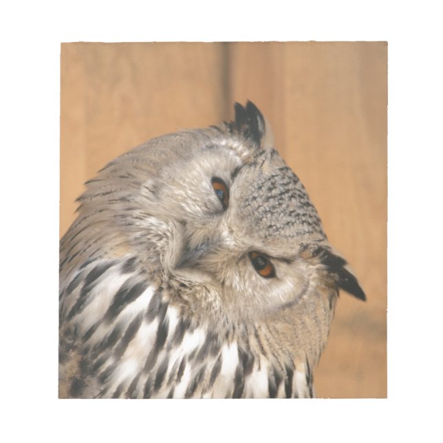 Bubo bubo sibiricus anteckningsblock (Framsida)