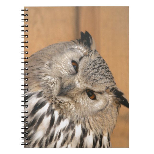Bubo bubo sibiricus anteckningsbok (Framsidan)