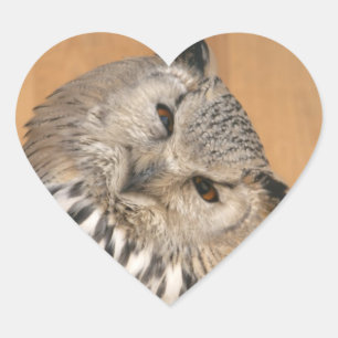 Bubo bubo sibiricus hjärtformat klistermärke